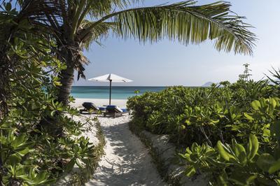 Beach - Beach Pathway_High Res_13834