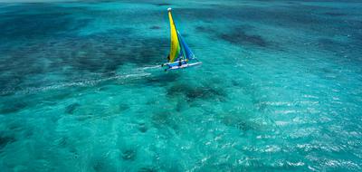 Hobie Cat Sailing