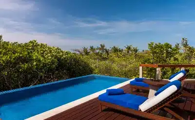 Treetop Pool Casita