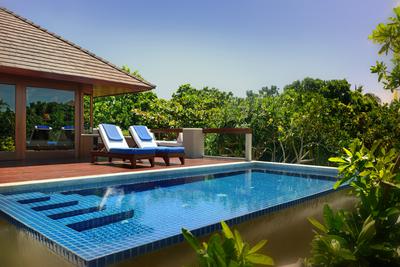 Treetop Pool Casita