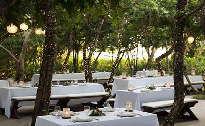 The Picnic Grove