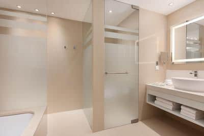 Deluxe Guest Bathroom