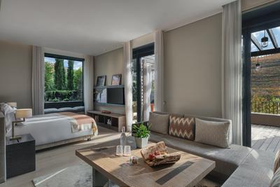 Vineyard Premier Room