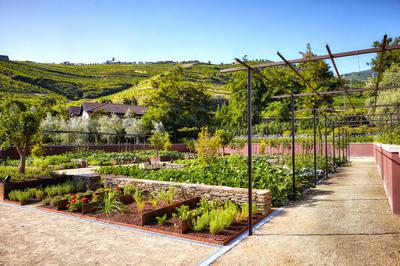 Organic Garden