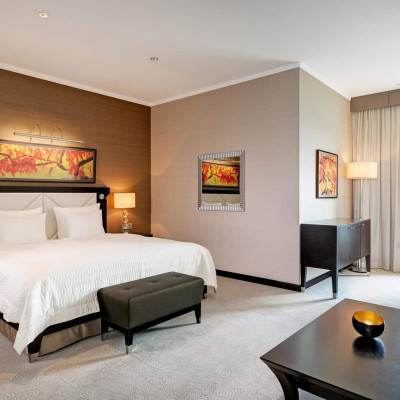 Grand Hotel River Park, a Luxury Collection Hotel, Bratislava image
