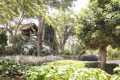 Botanical Gardens