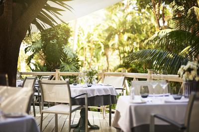 Serafina - Italian Fine Dining Cuisine