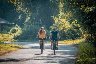 Bike Trail