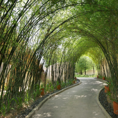 The Naka Island, A Luxury Collection Resort & Spa image