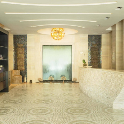 Iridium Spa - Reception