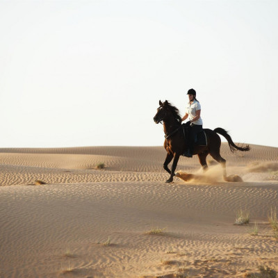 Al Maha, A Luxury Collection Desert Resort & Spa, Dubai image