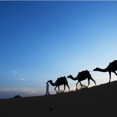 Al Maha, A Luxury Collection Desert Resort & Spa, Dubai image
