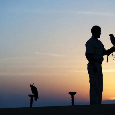 Al Maha, A Luxury Collection Desert Resort & Spa, Dubai image