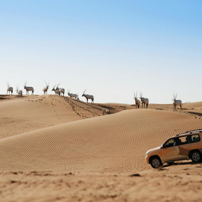 Al Maha, A Luxury Collection Desert Resort & Spa, Dubai image