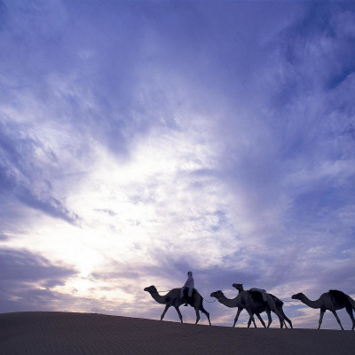 Al Maha, A Luxury Collection Desert Resort & Spa, Dubai image