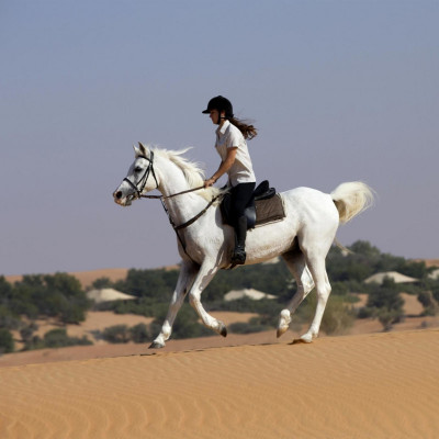 Al Maha, A Luxury Collection Desert Resort & Spa, Dubai image