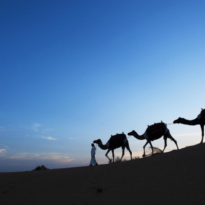 Al Maha, A Luxury Collection Desert Resort & Spa, Dubai image