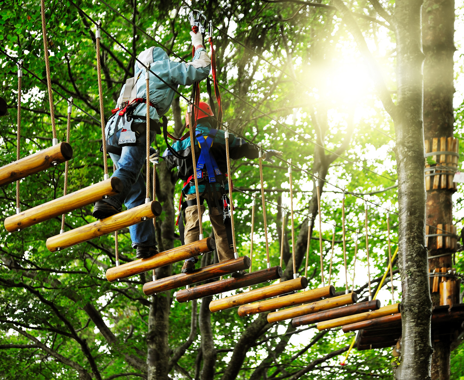 Highwire Adventure