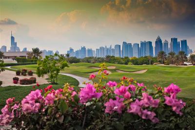 Golf View