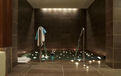 Spa - Plunge Pool