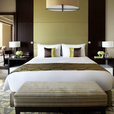 Fairmont The Palm image