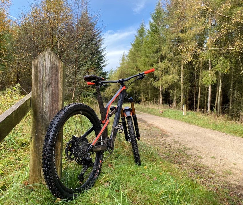 Mountain Bikes