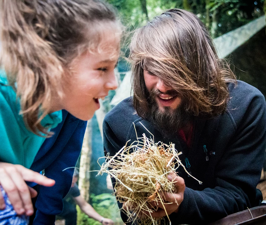 Bushcraft