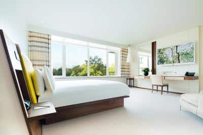 Junior Park Suite