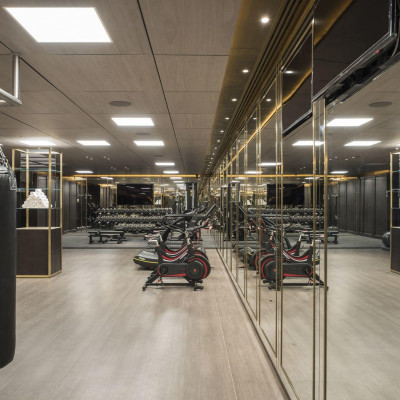 The Lanesborough Club & Spa - Gym