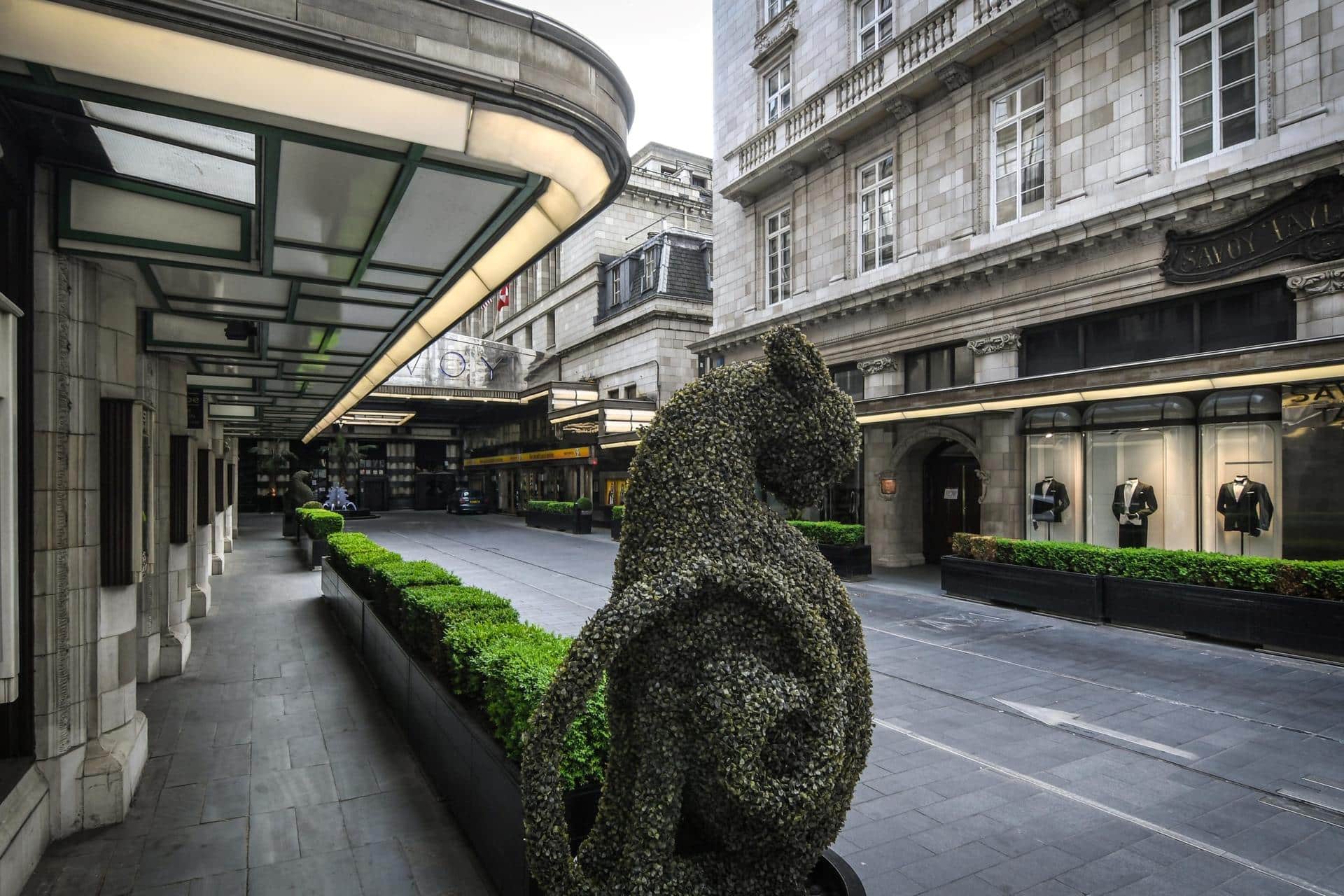 The Savoy