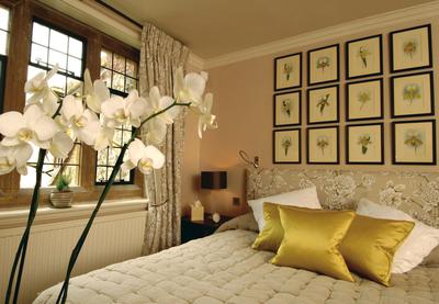 Deluxe Room Orchid