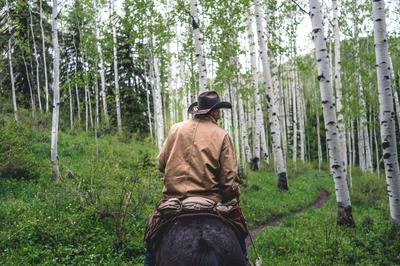 Horseback Riding Trails