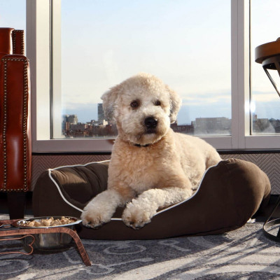 The Liberty, A Luxury Collection Hotel, Boston image