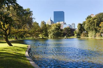 Boston Public Garden
