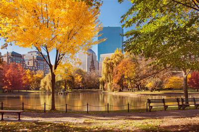 Boston Public Garden Autumn