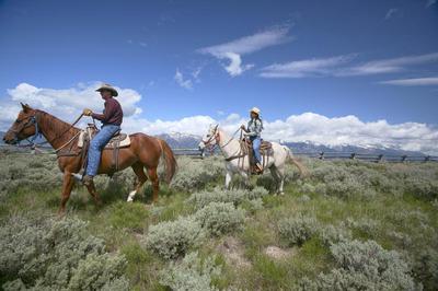 Horse Riding