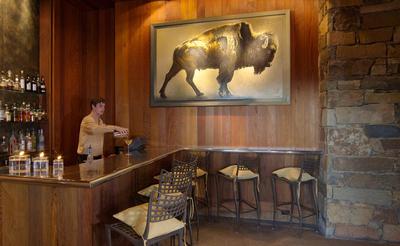 Zinc Bar