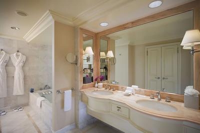 Deluxe Suite bathroom