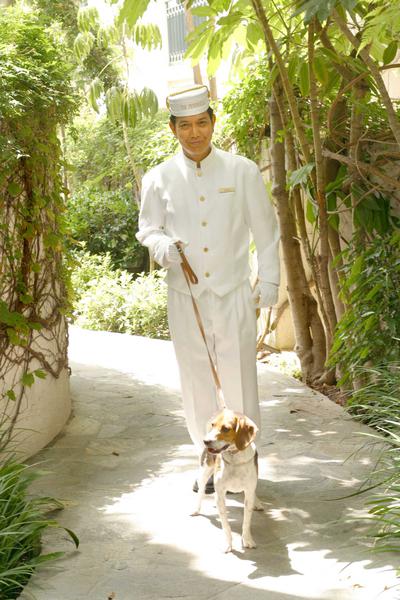 Pet Friendly