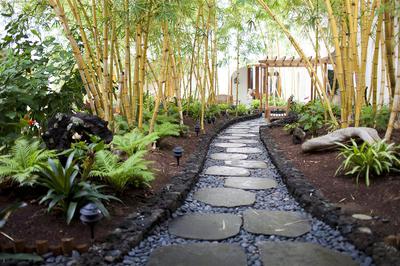 Bamboo Garden Path