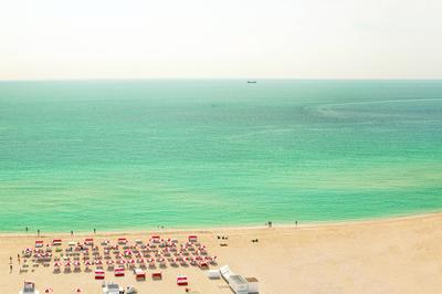 Suite - Oceanfront Balcony