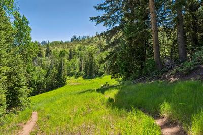 Hiking Trail