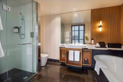 Luxury Atrium View Room