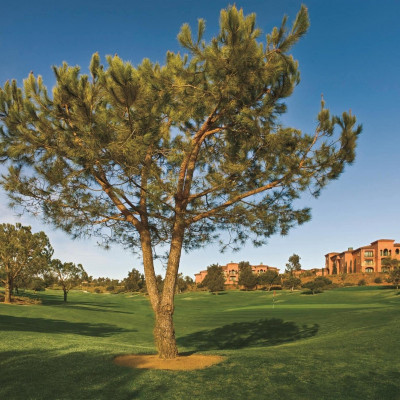 Fairmont Grand Del Mar image