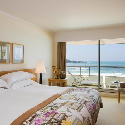 Sofitel Thalassa Biarritz image