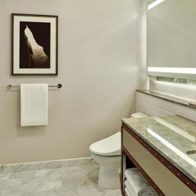 Palace Hotel, A Luxury Collection Hotel, San Francisco image