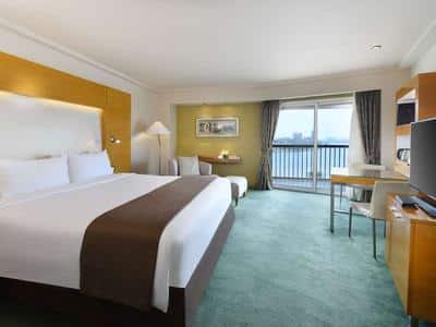 Magnifique Room