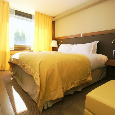 Sofitel Lyon Bellecour image