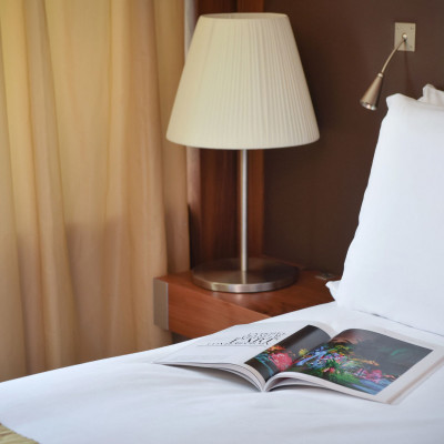 Sofitel Lyon Bellecour image