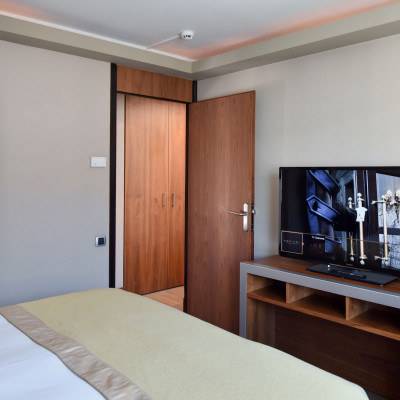 Sofitel Lyon Bellecour image